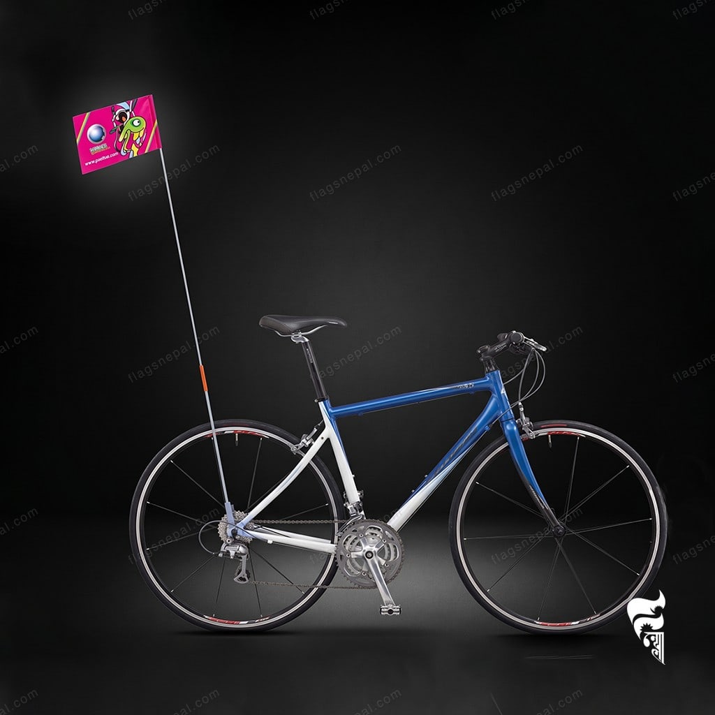 Bike Pole Back